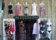 One Eyed Dolphin